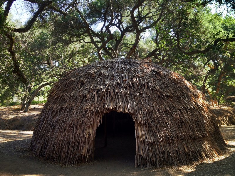 thatched-hut
